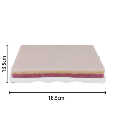 Venipuncture IV Injection Training Pad Model with 4 Veins Imbedded and 3 Skin Layers for Medical Students Doctors Nurses Practice - [shop_medarchitect]