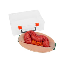 Load image into Gallery viewer, Wearable Abdominal Evisceration with Colon Wound Simulator