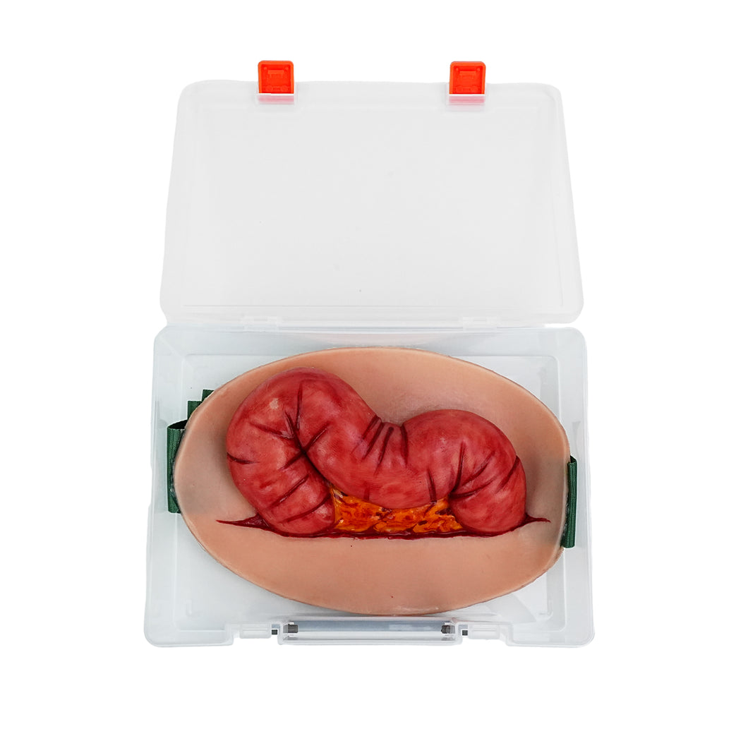 Wearable Abdominal Evisceration with Colon Wound Simulator