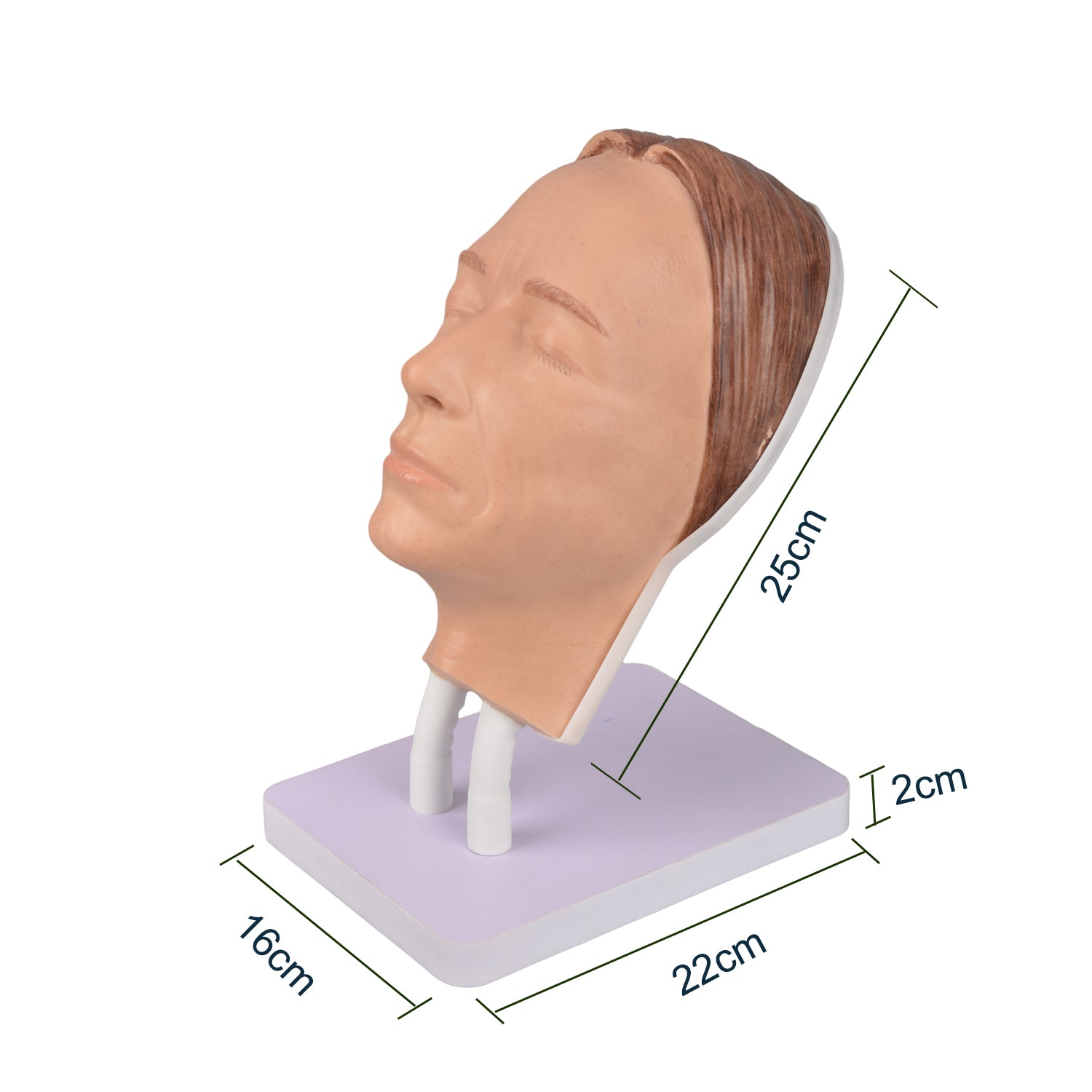 Injection Training Mannequin Face Model Head Model for Micro-Plastic Teaching,Practice Training to Medical Student,Doctor,Esthetician - [shop_medarchitect]