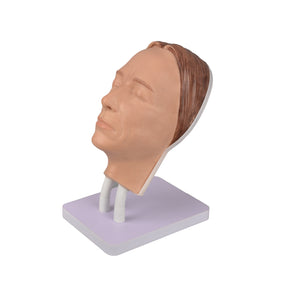 Injection Training Mannequin Face Model Head Model for Micro-Plastic Teaching,Practice Training to Medical Student,Doctor,Esthetician - [shop_medarchitect]