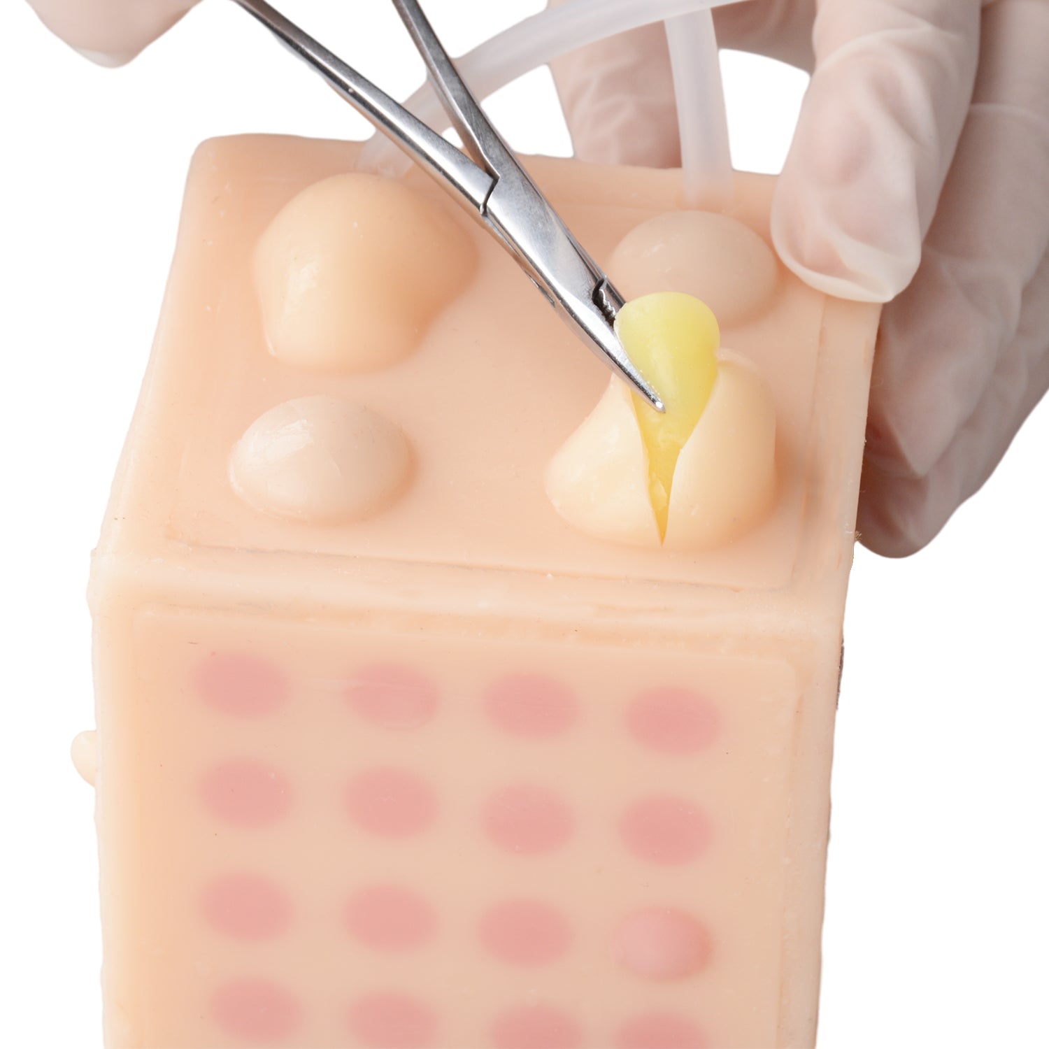 Multifunctional Medical Trainer for Injection/Wound Cleansing/Incision Use - [shop_medarchitect]