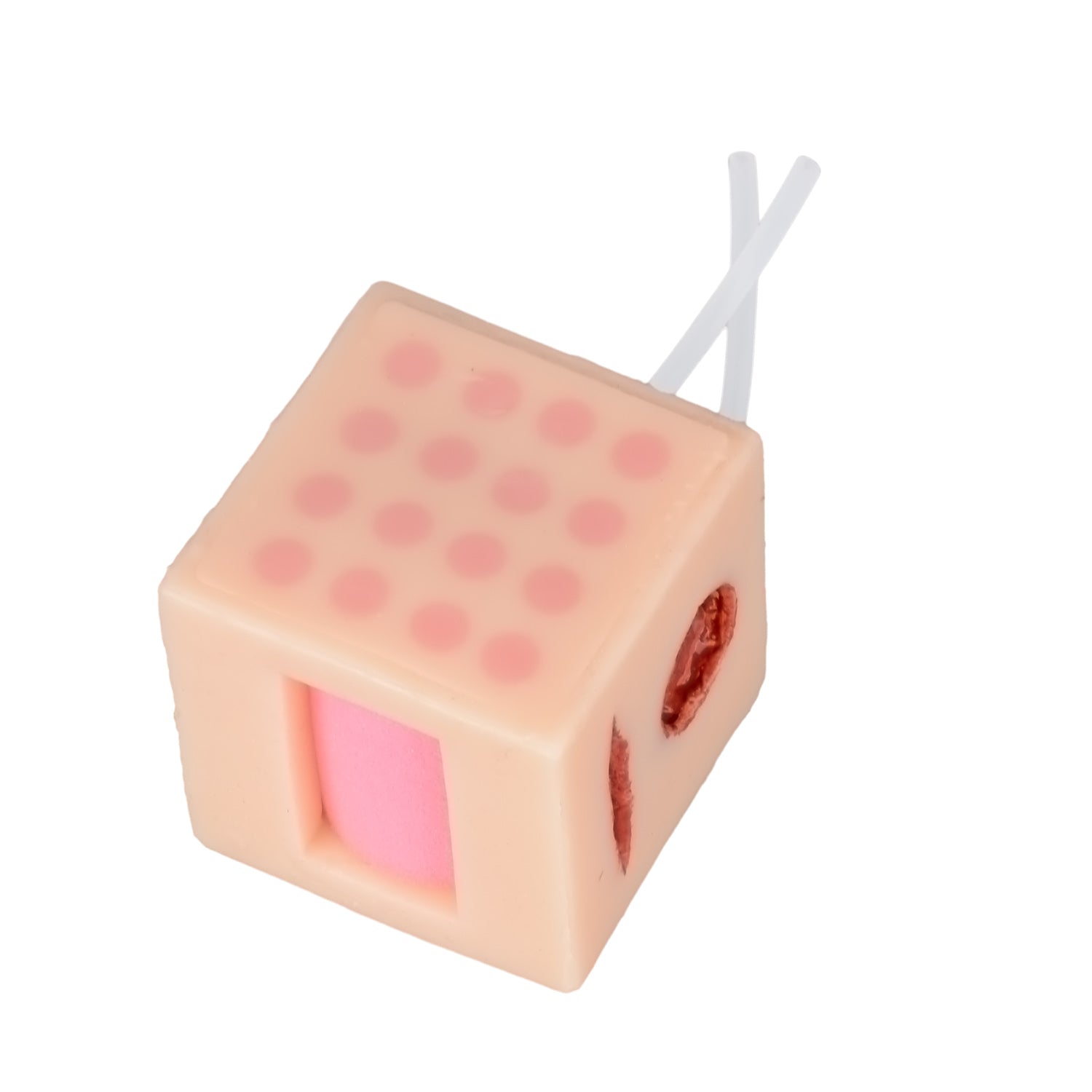Multifunctional Medical Trainer for Injection/Wound Cleansing/Incision Use - [shop_medarchitect]