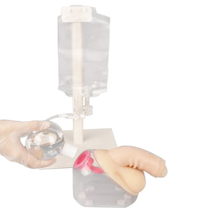 Male Urethral Catheterization Simulator, Urinary Catheterization Model for Medical Students Or Nurses