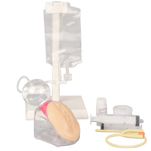 Female Catheterization Simulator Set, Catheter Insertion Model for Medical Students Or Nurses