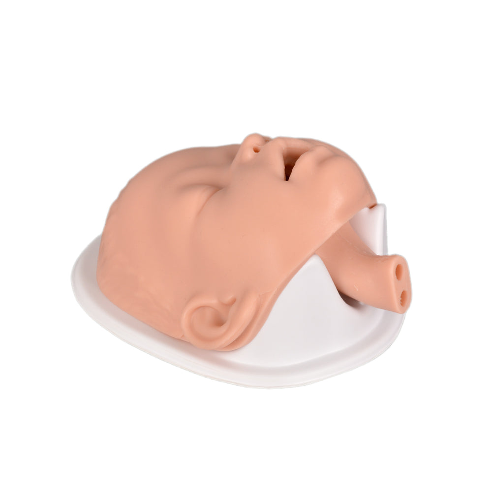 Pediatric Airway Management Trainer