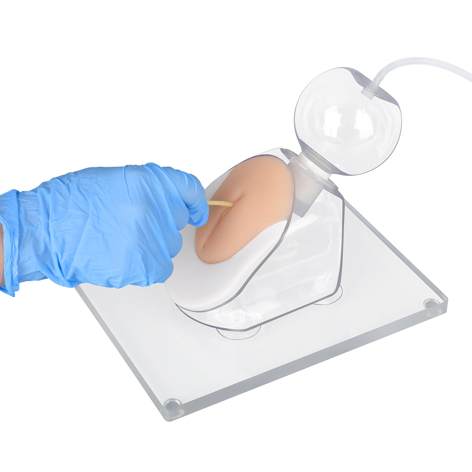 Pediatric Female Infant Urinary Catheterization Trainer