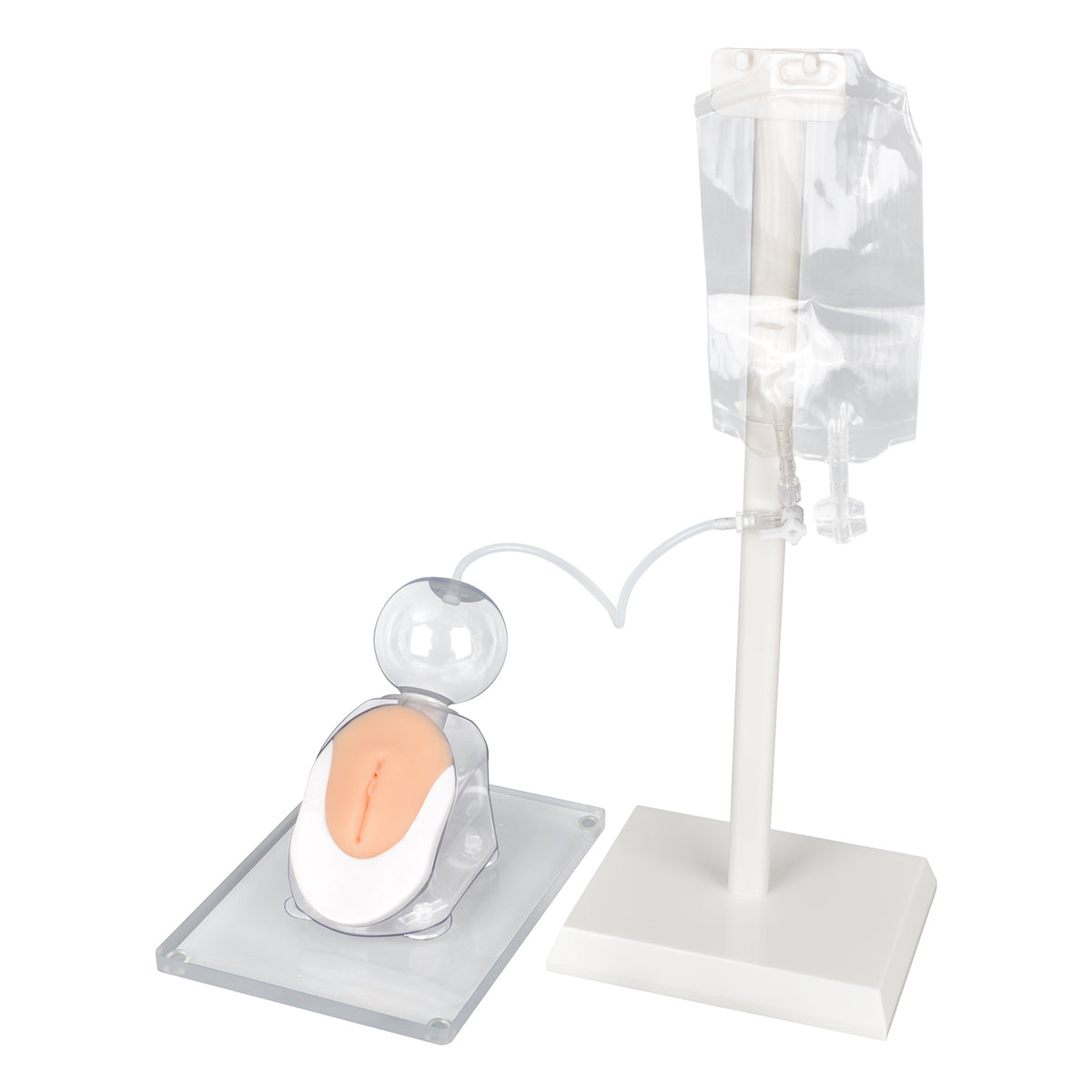Pediatric Female Infant Urinary Catheterization Trainer