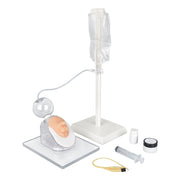 Pediatric Male Infant Urinary Catheterization Trainer