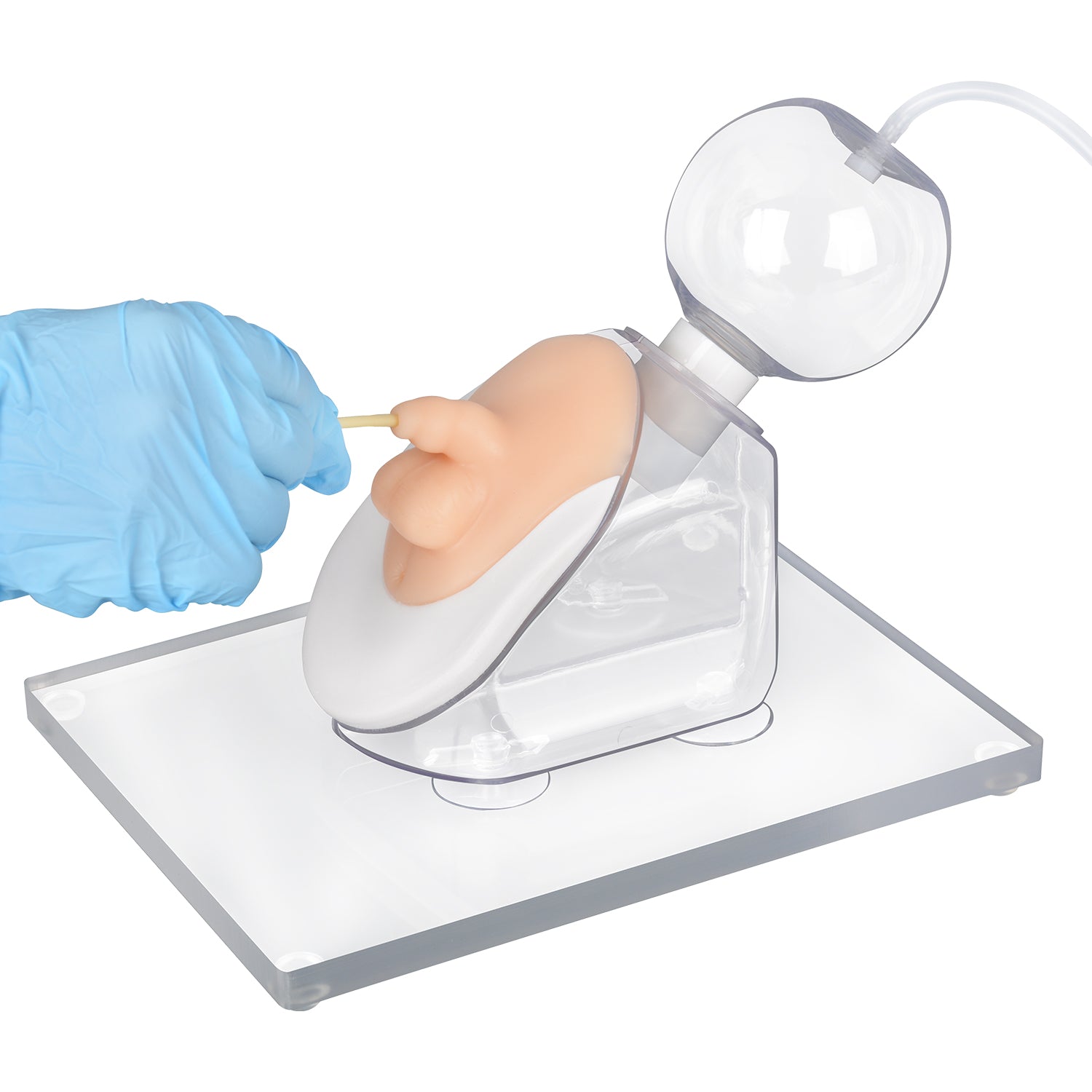 Pediatric Male Infant Urinary Catheterization Trainer