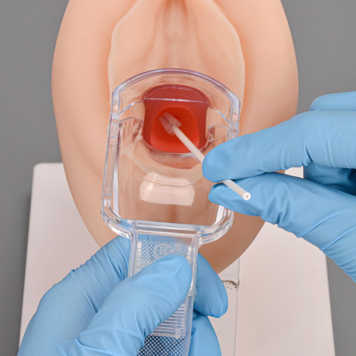 Pelvic Examination Training Model For Speculum Insertion Practice