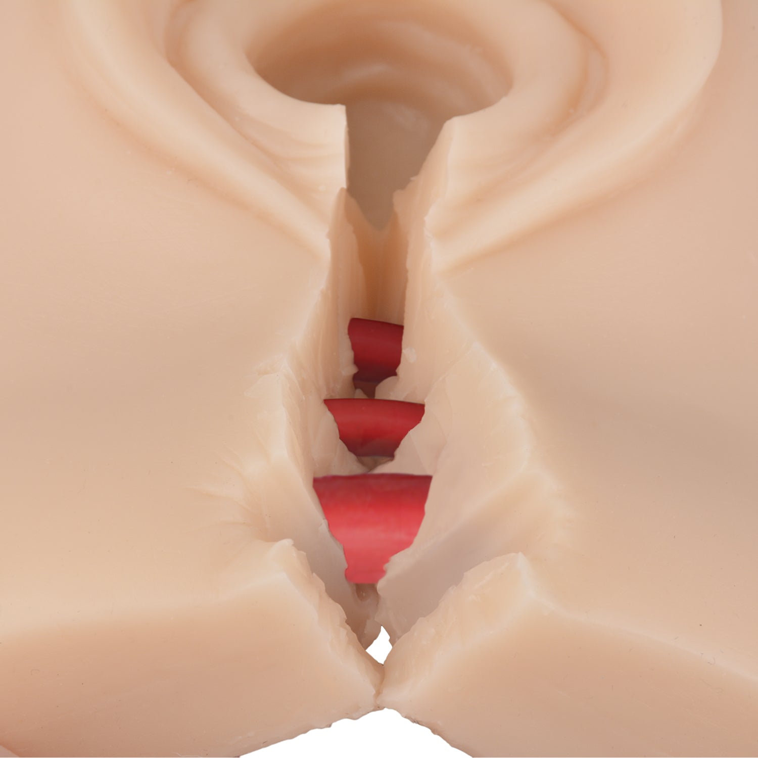 Perineal Suture Episiotomy Trainer with 2nd-3rd Degree Incisions