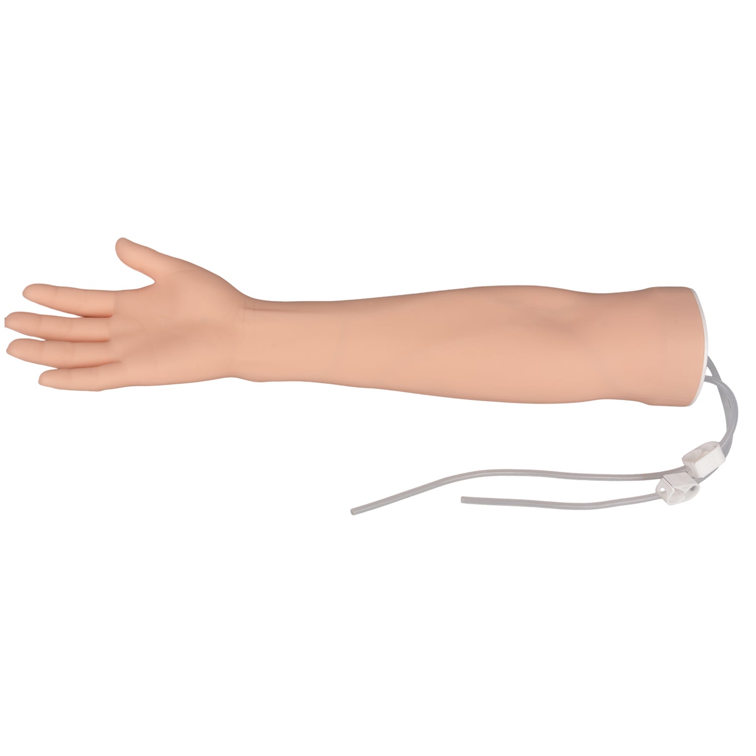 Phlebotomy Practice Arm with Realistic Adult Veins