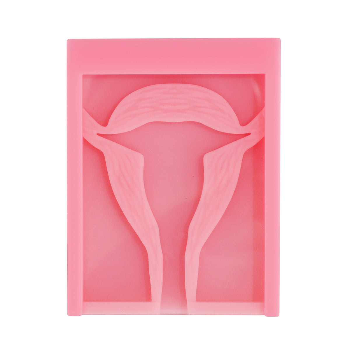 Pocket IUD Training Model