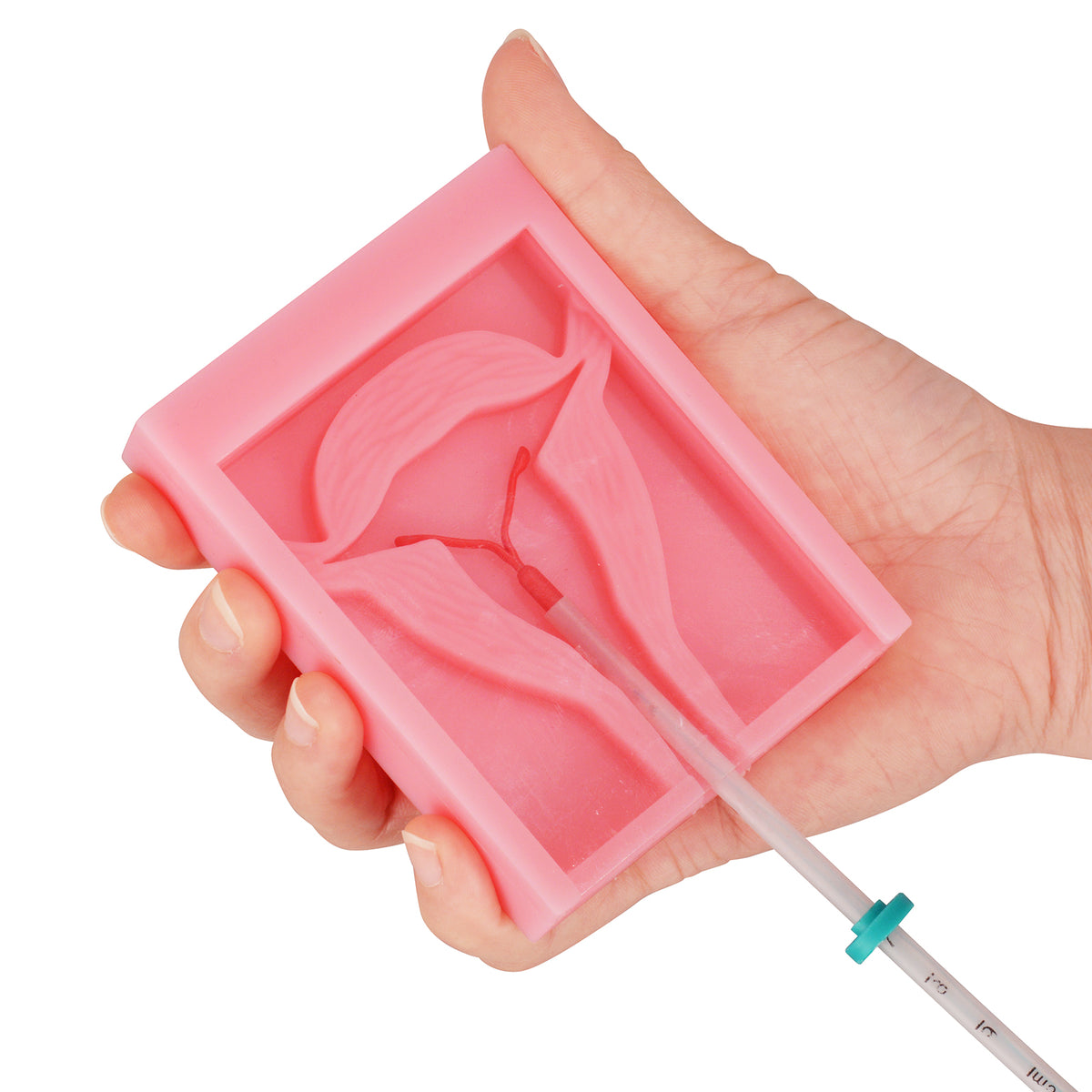 Pocket IUD Training Model