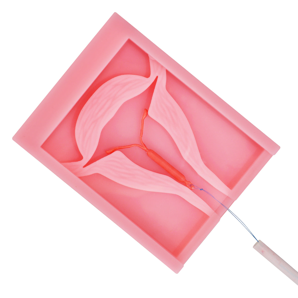 Pocket IUD Training Model