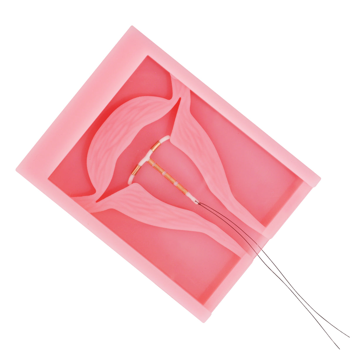 Pocket IUD Training Model