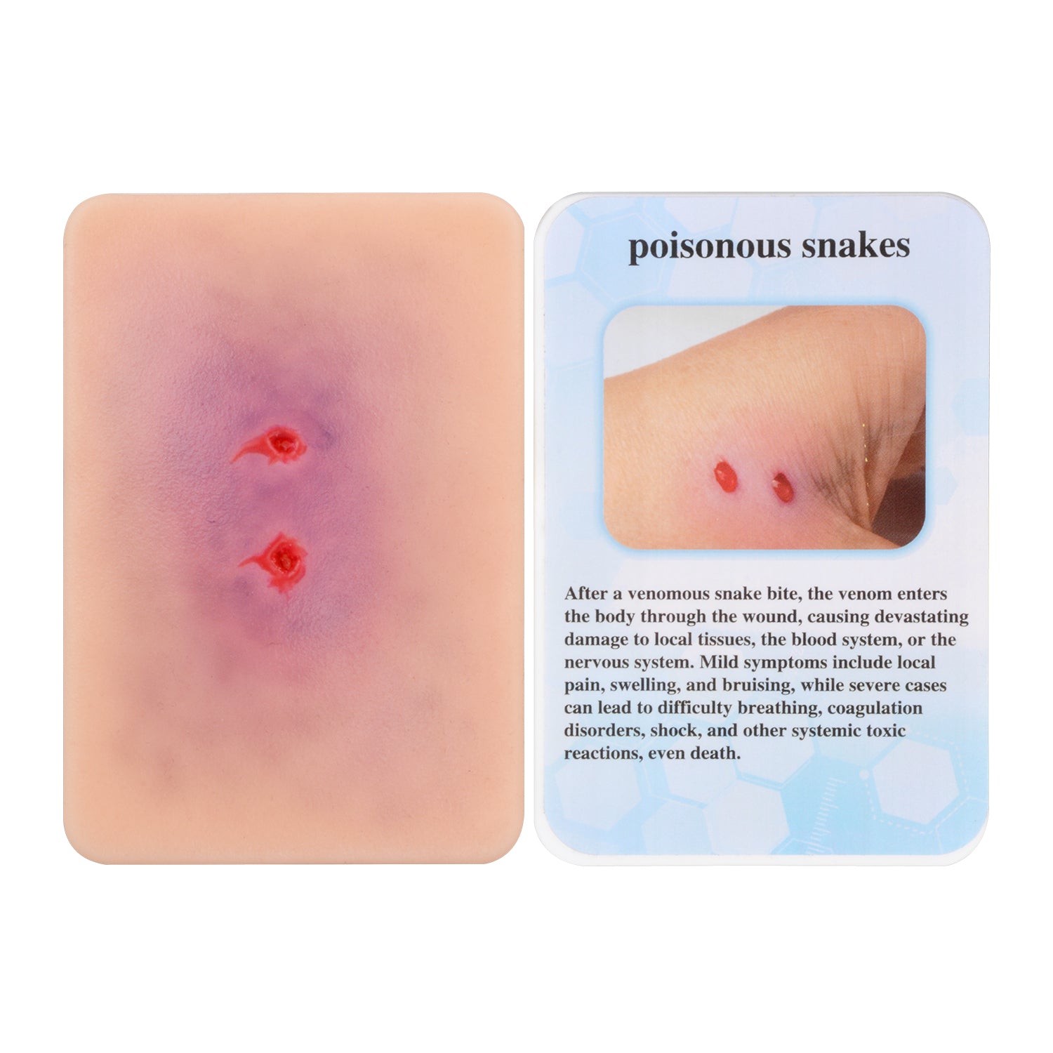 Poisonous Snake Bite Wound Simulation Model