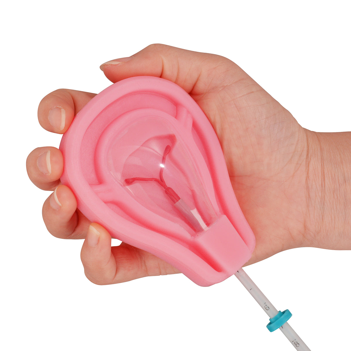 Portable IUD Placement Trainer