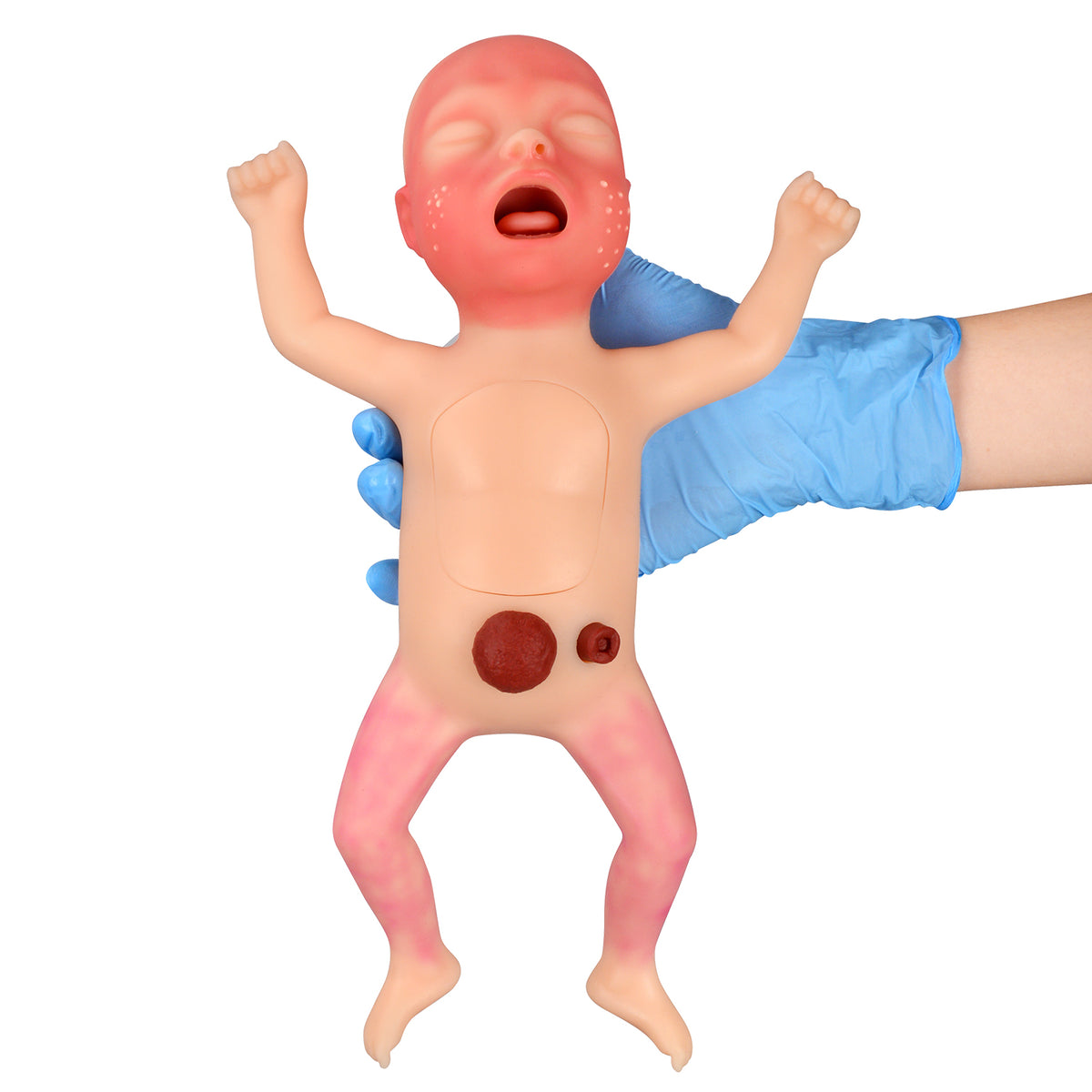 Premature Infant Manikin for NICU & Nursing Skills Training