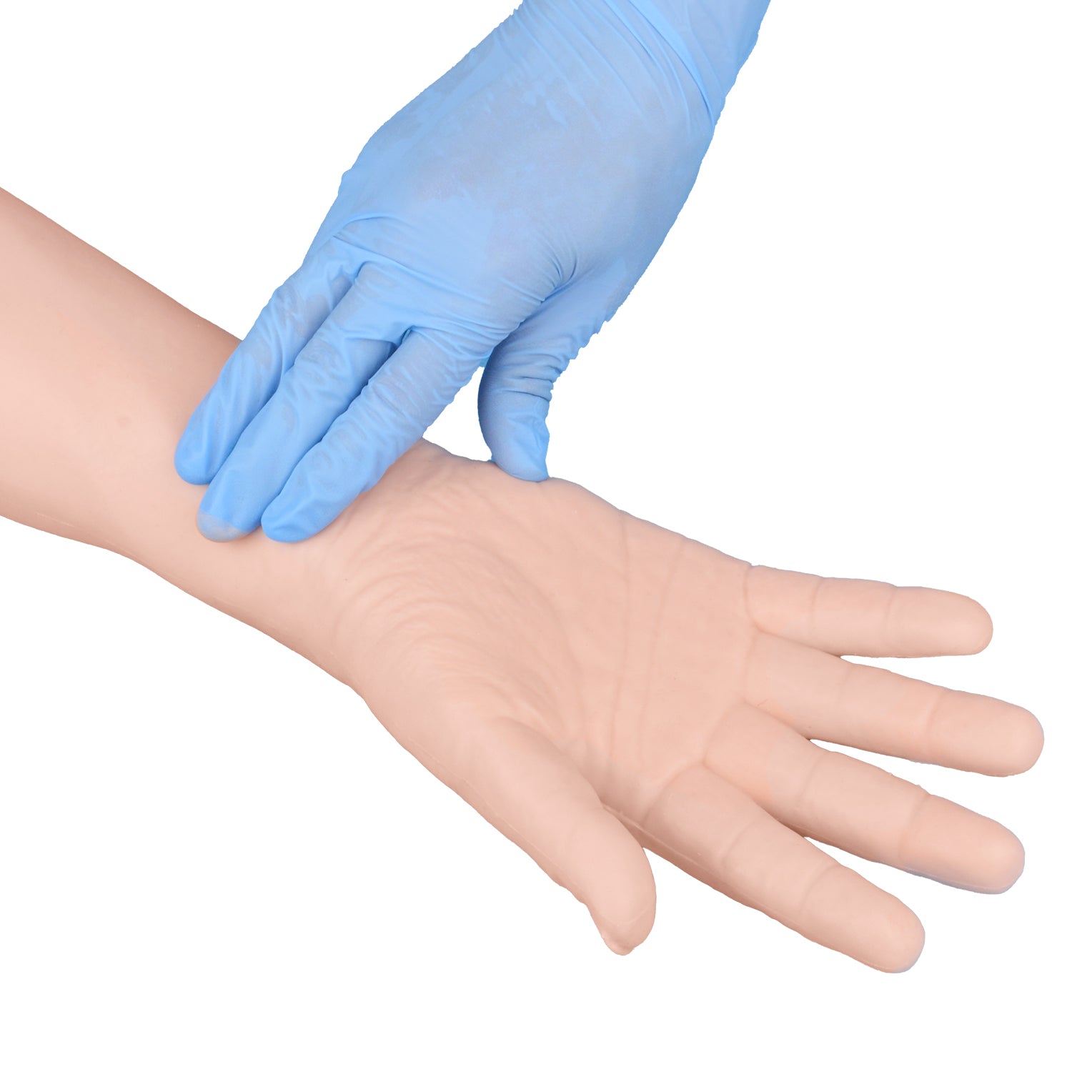 Radial Pulse Palpation on Forearm Arterial Training Arm