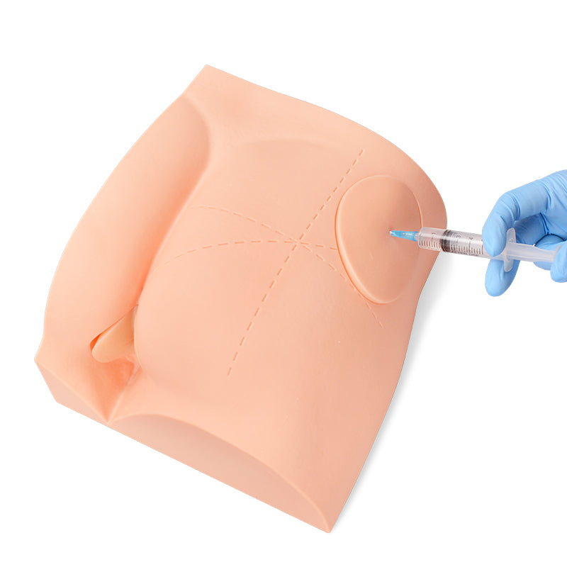 Realistic Gluteal Muscle Anatomy for Intramuscular Injection Training