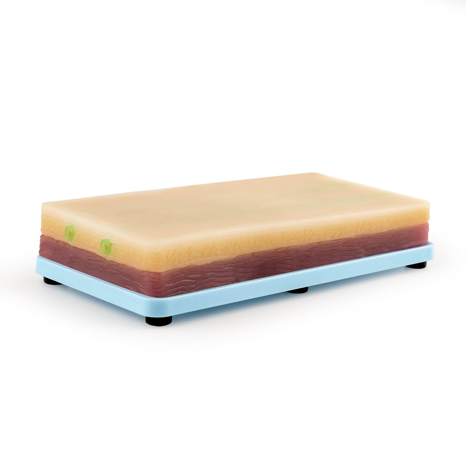 Realistic IV Practice Pad For Venipuncture Training