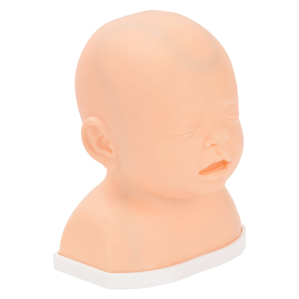 Realistic Infant Head With Simulated Veins Design