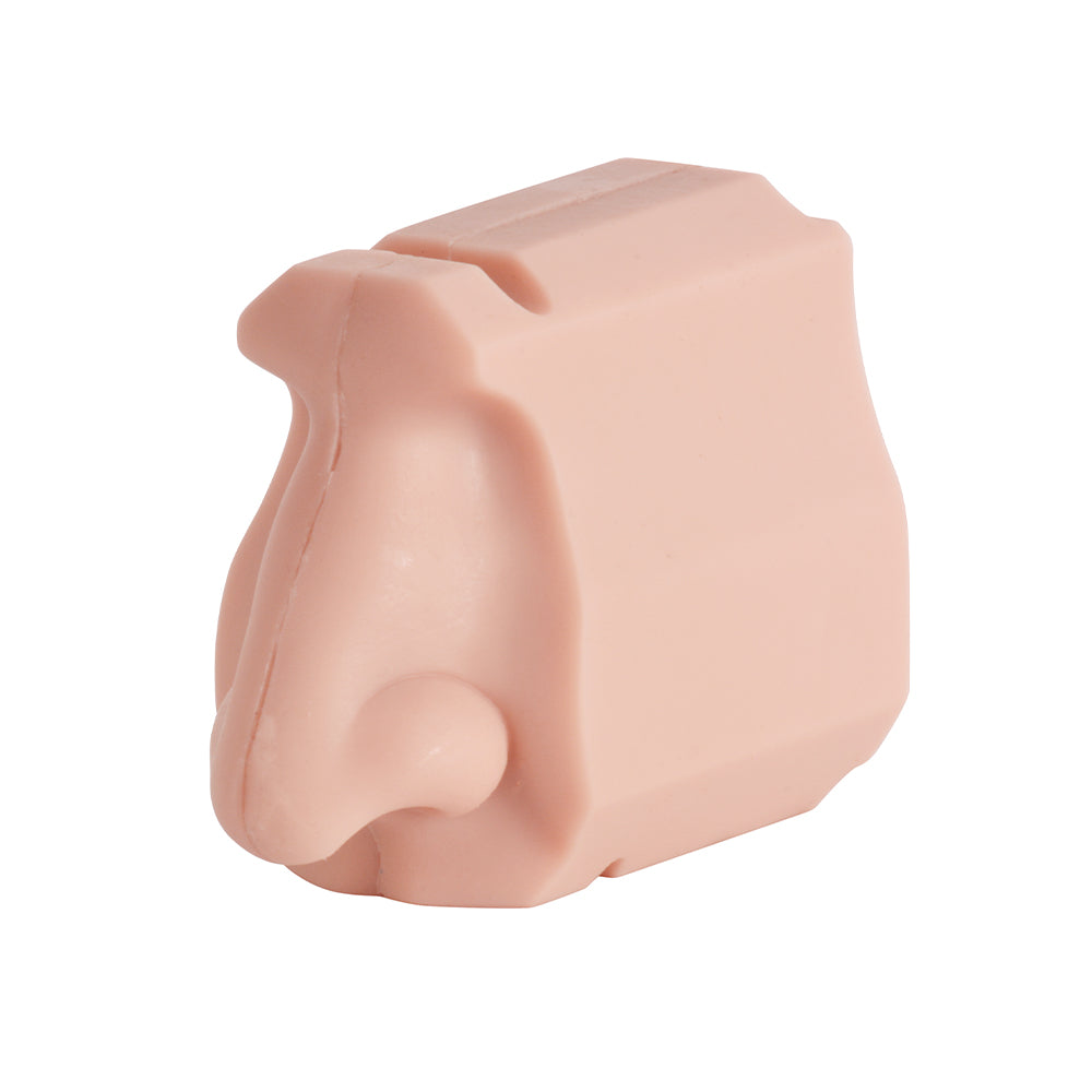 Realistic Nasal Model For Endoscopy And Swab Collection