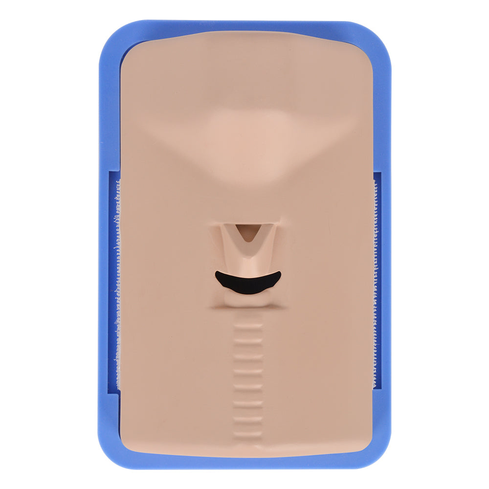 Realistic Neck Anatomy Cricothyrotomy Simulation Model