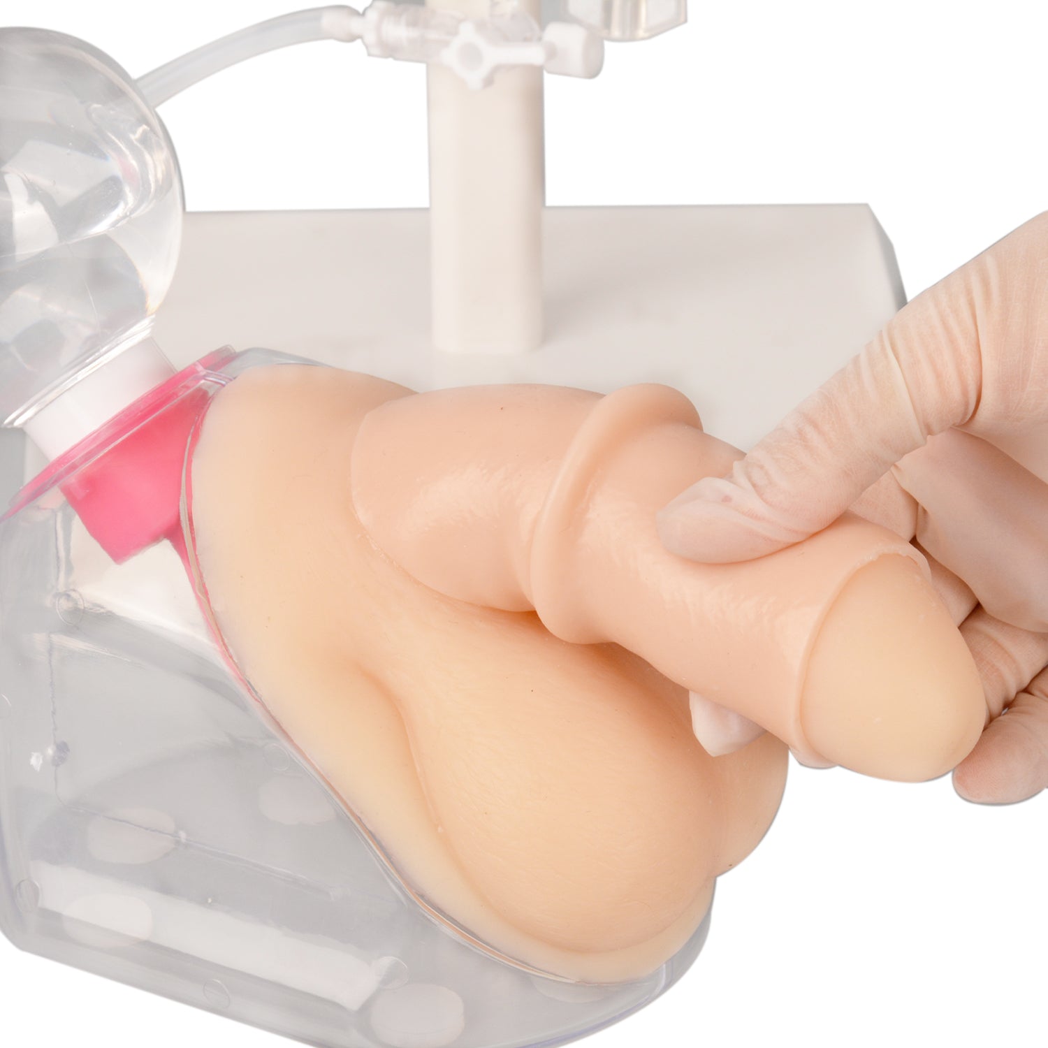 Realistic Penis Model for Male Catheterization Trainer