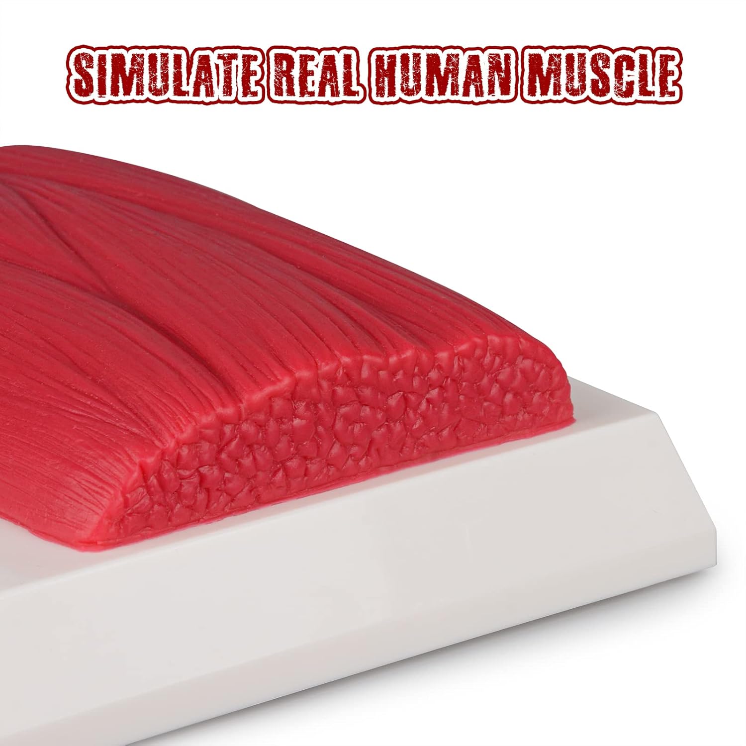 Realistic Silicone 1 Pound Muscle Replica