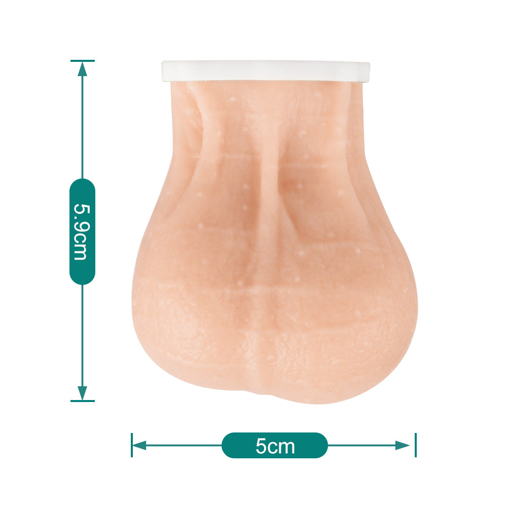 Realistic Silicone Testicular Model