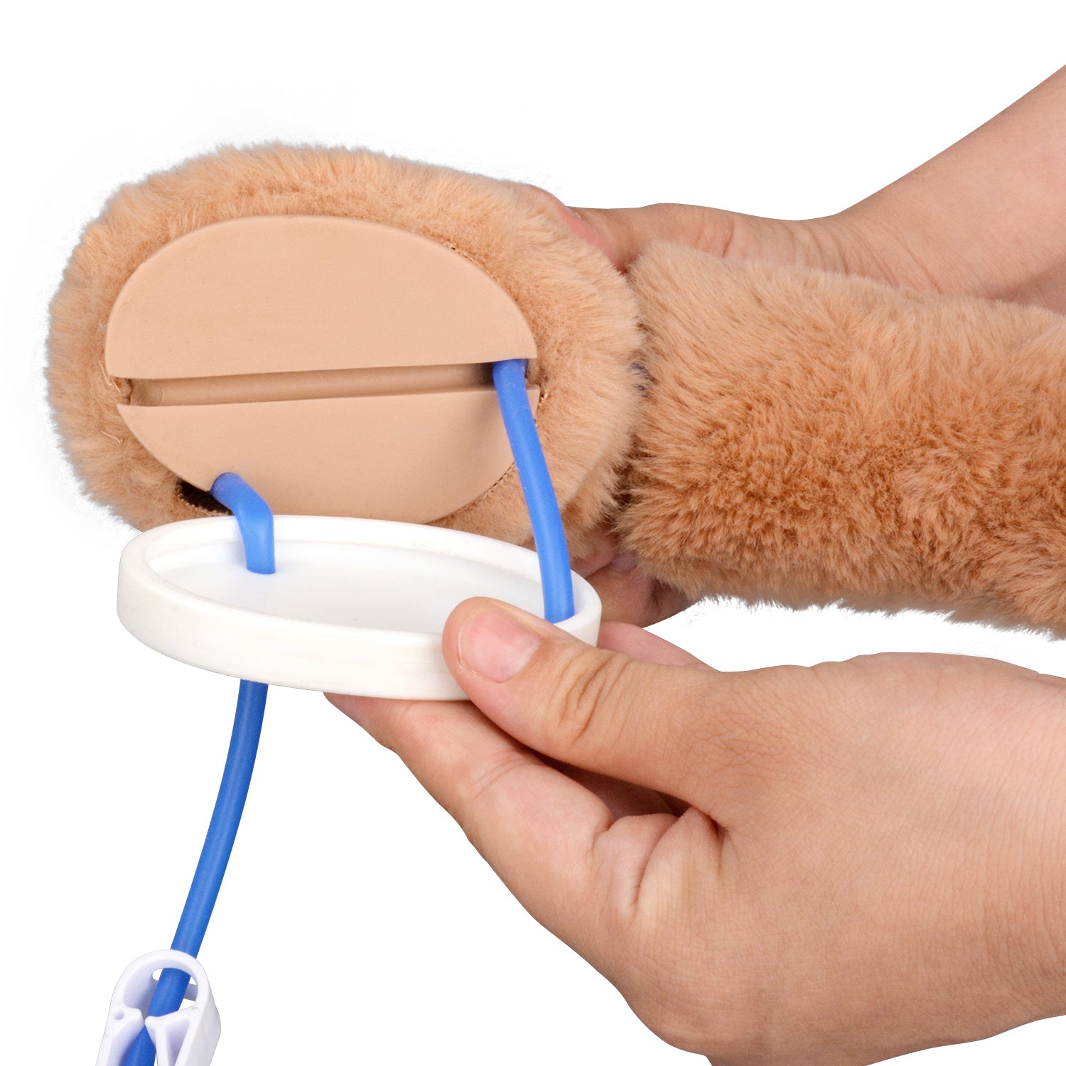 Replaceable Catheter And Vein System Training Model