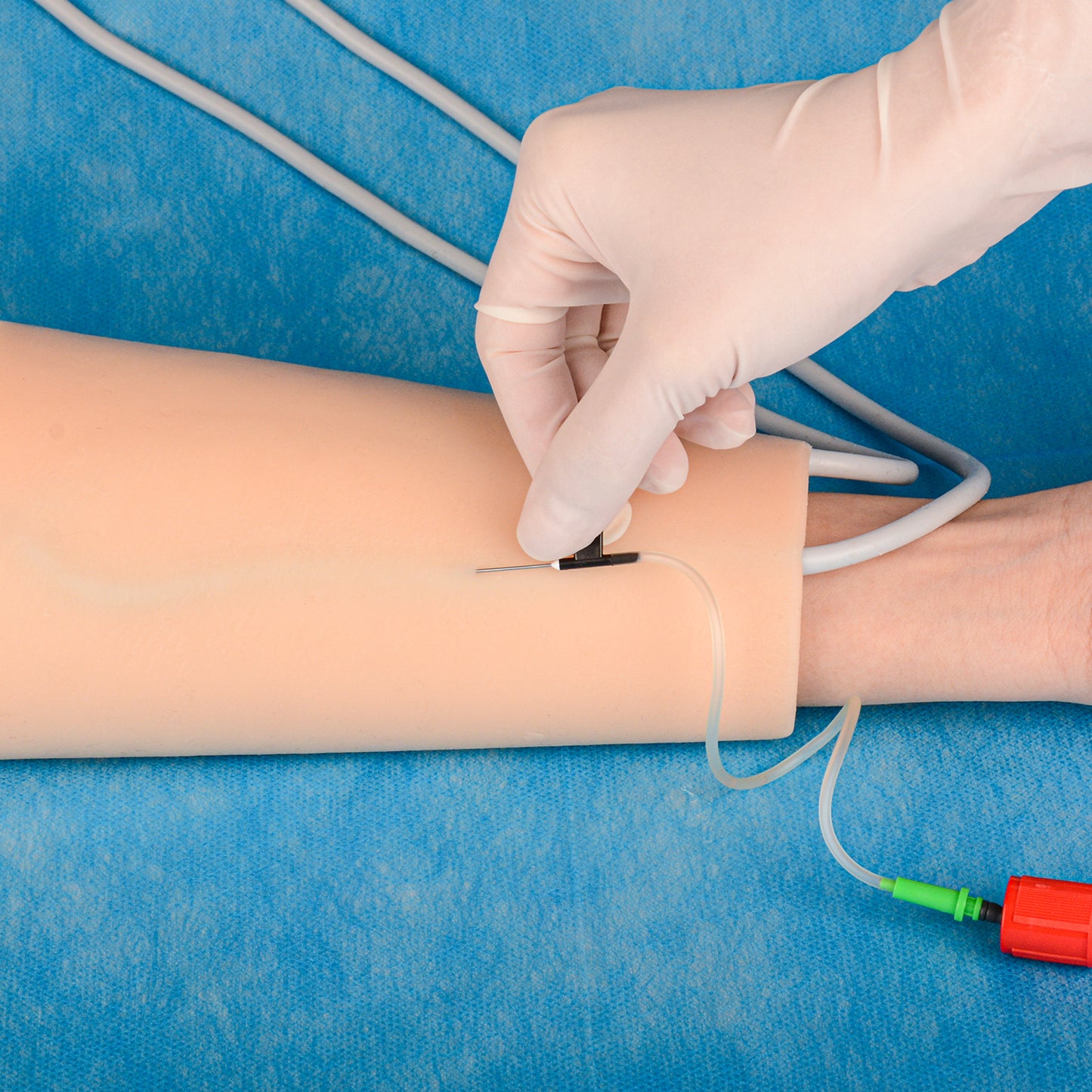 Reusable IV Injection And Phlebotomy Model