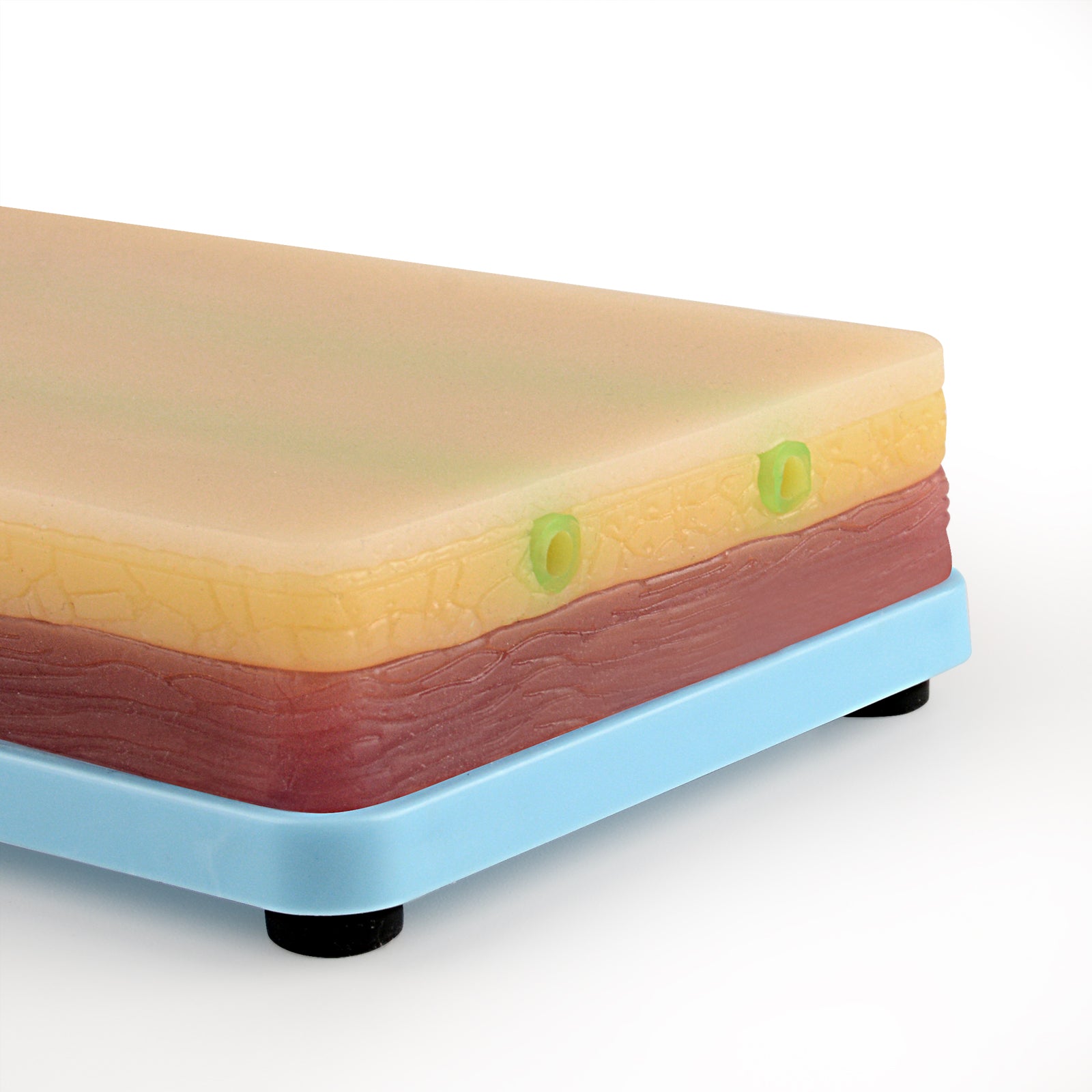 Reusable IV Practice Pad For Blood Draw Training