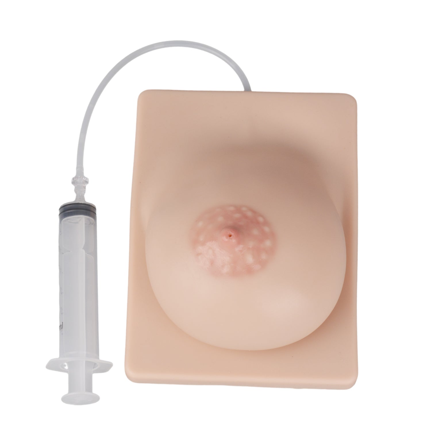 Silicone Breast Model For Breastfeeding Education