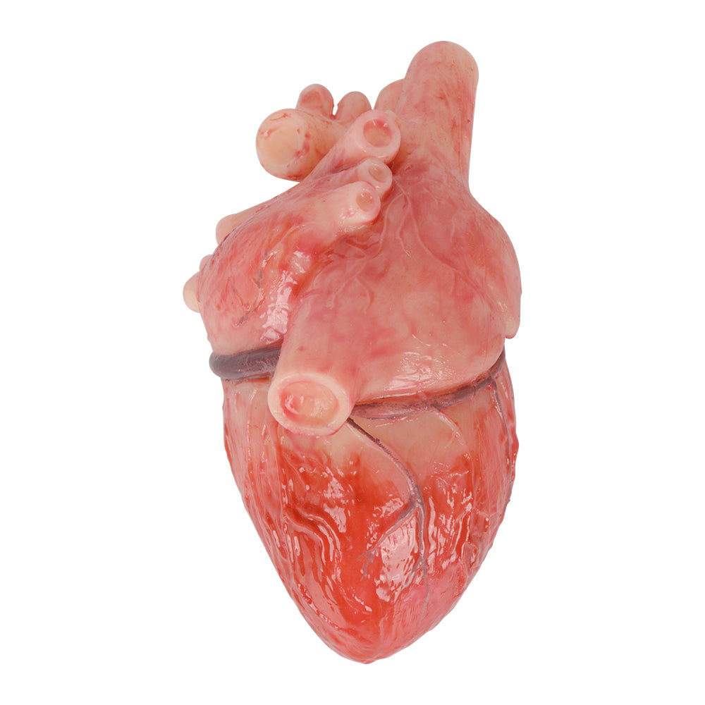 Silicone Heart with High-gloss Pigment