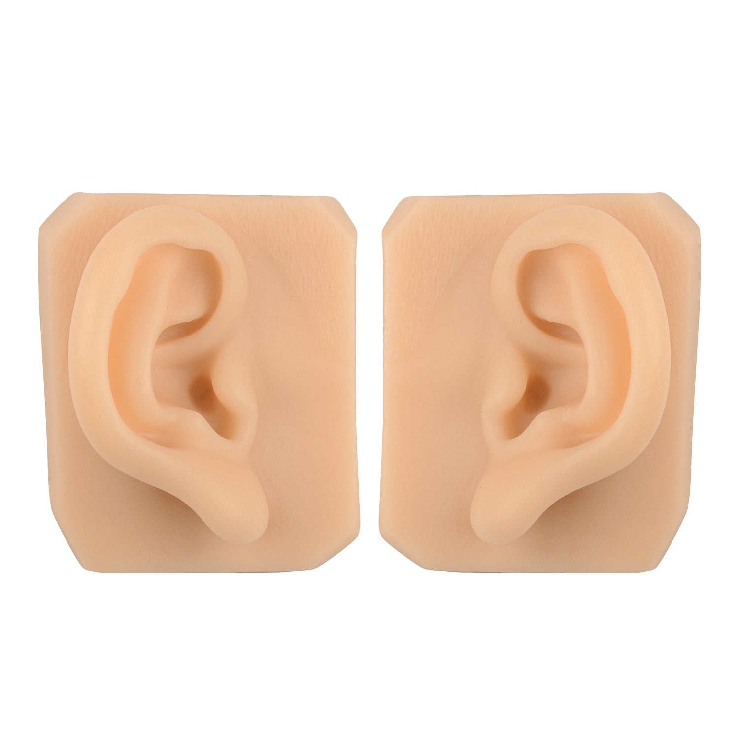 Silicone Human Ear Suturing Training Model