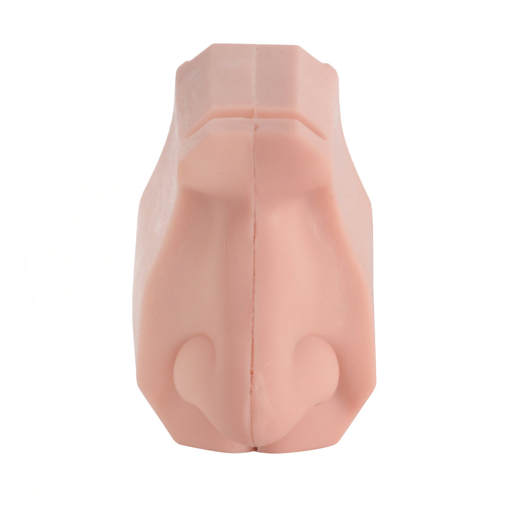 Silicone Nasal Model For Repeated Hands-On Practice