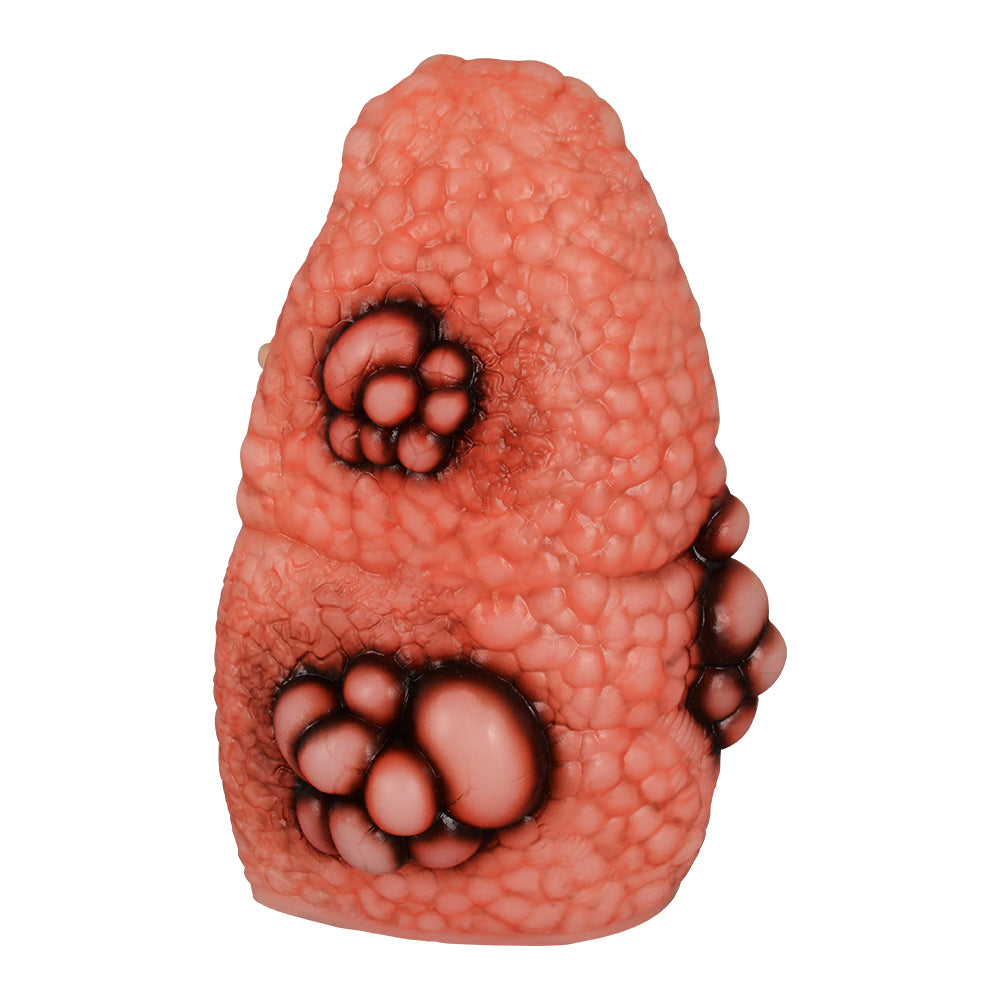 Smoker Lung Anatomy Teaching Model