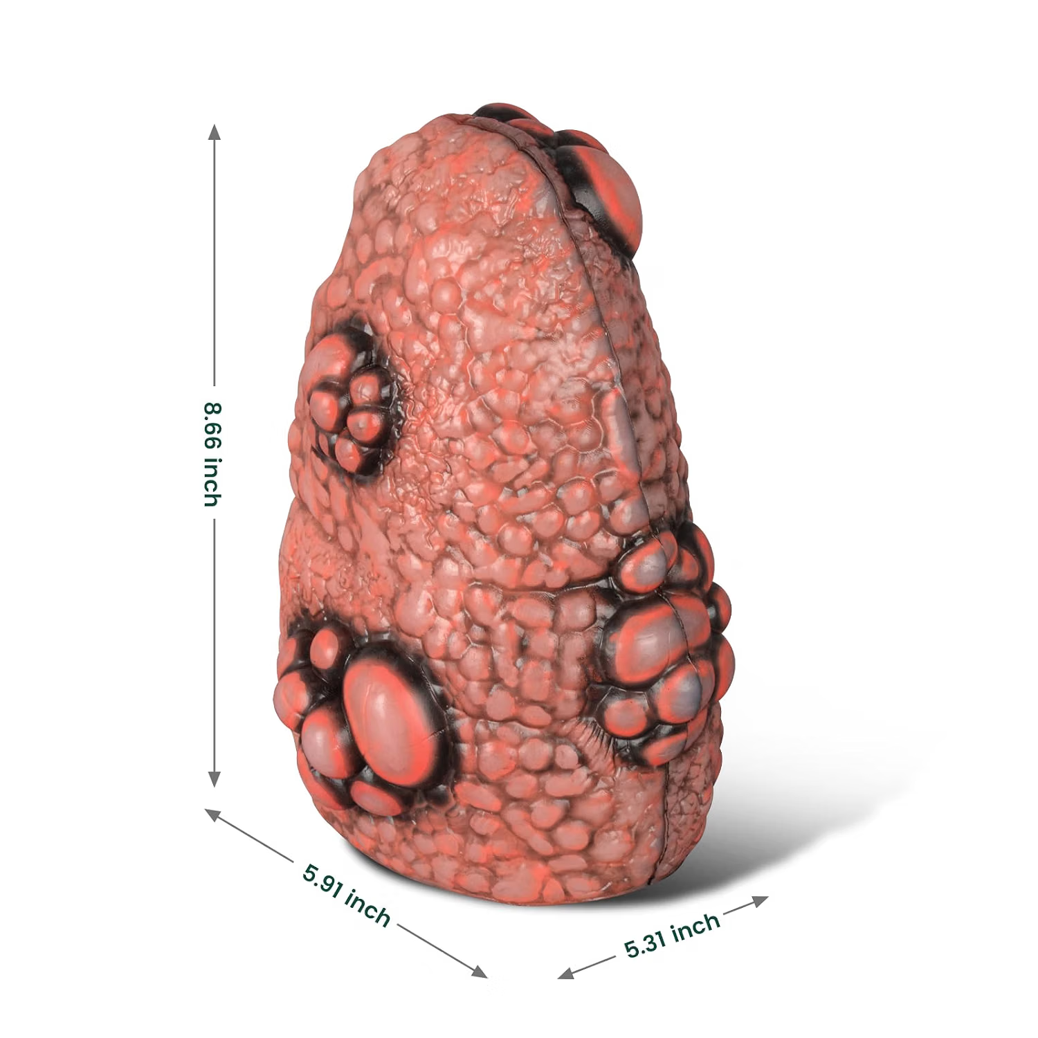 Smoking Lung Model with Cross-Section