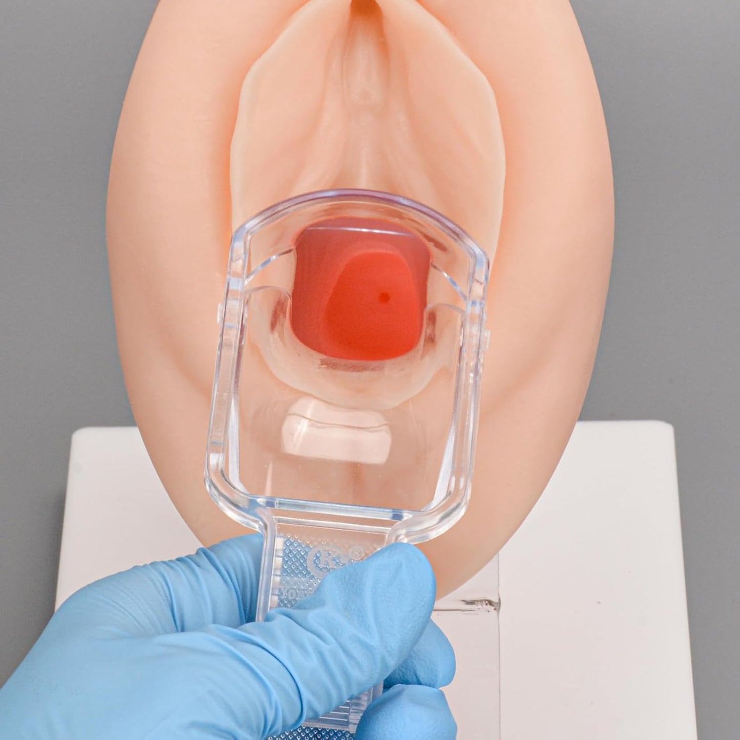 Speculum Demonstration on Vaginal Exam Model