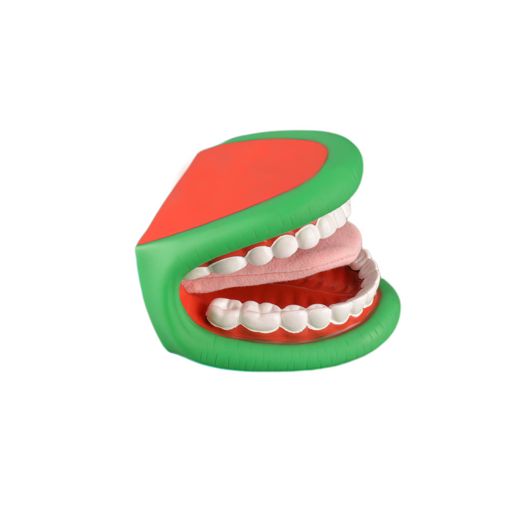 Speech Therapy Teaching Tool