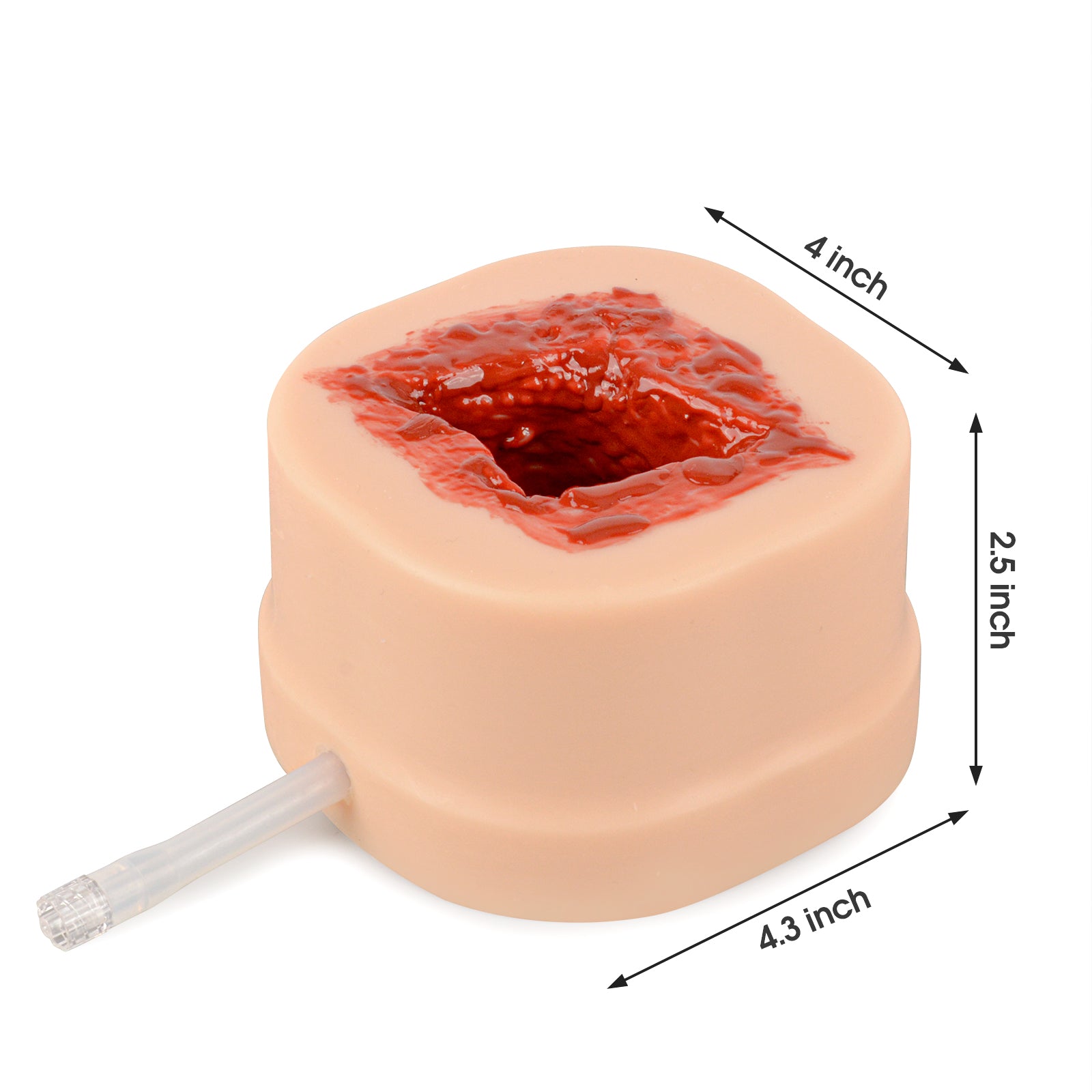 Stab Trauma Training Model Size Reference