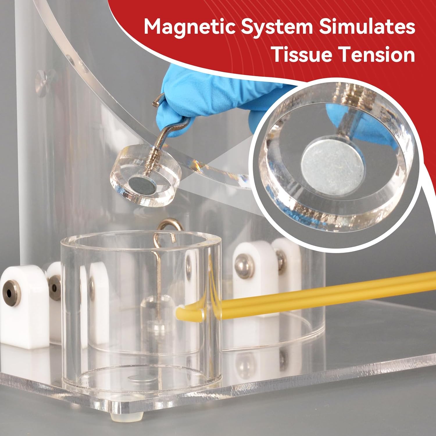 Surgical Knot Practice Setup With Magnetic System