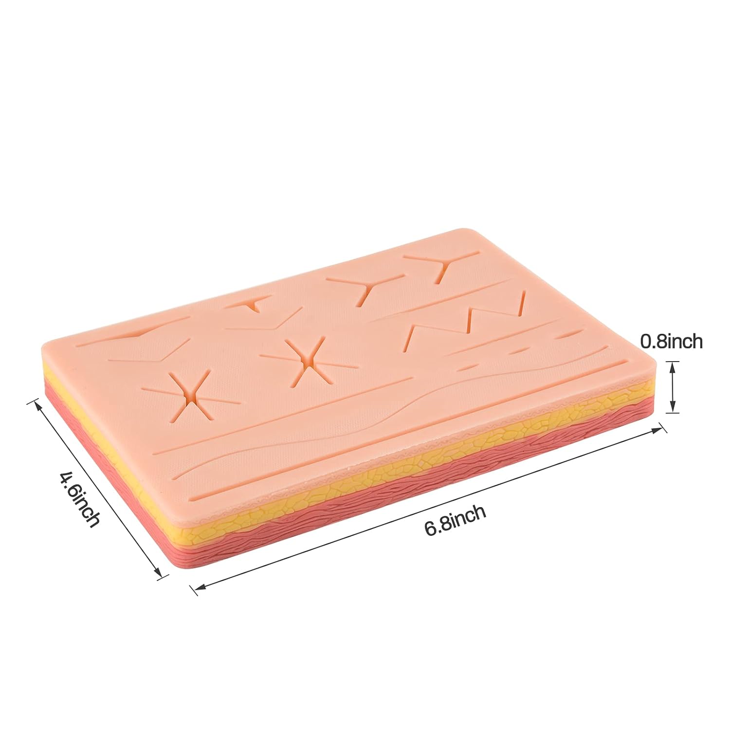 Surgical Suture Training Pad Dimensions and Size Details