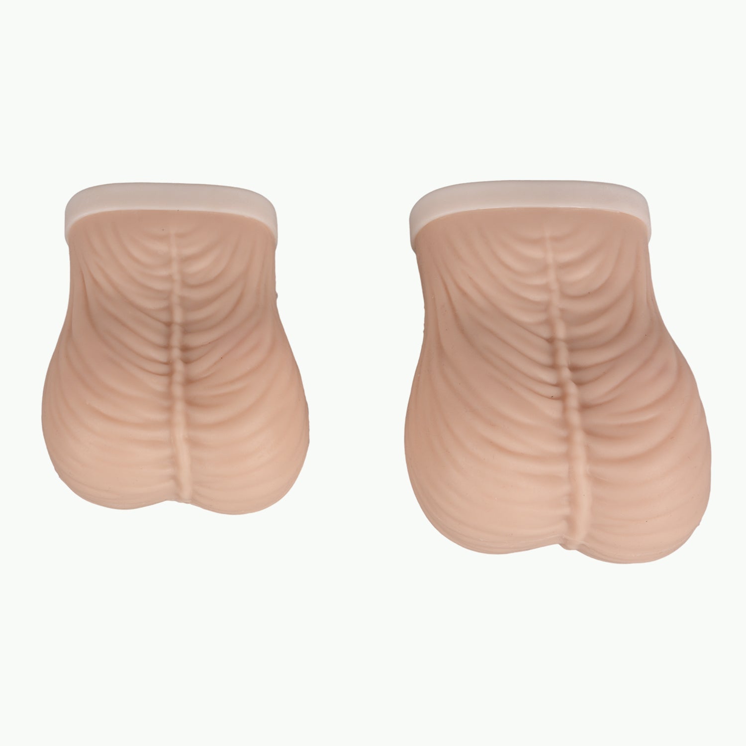 Testicular Self Exam Model