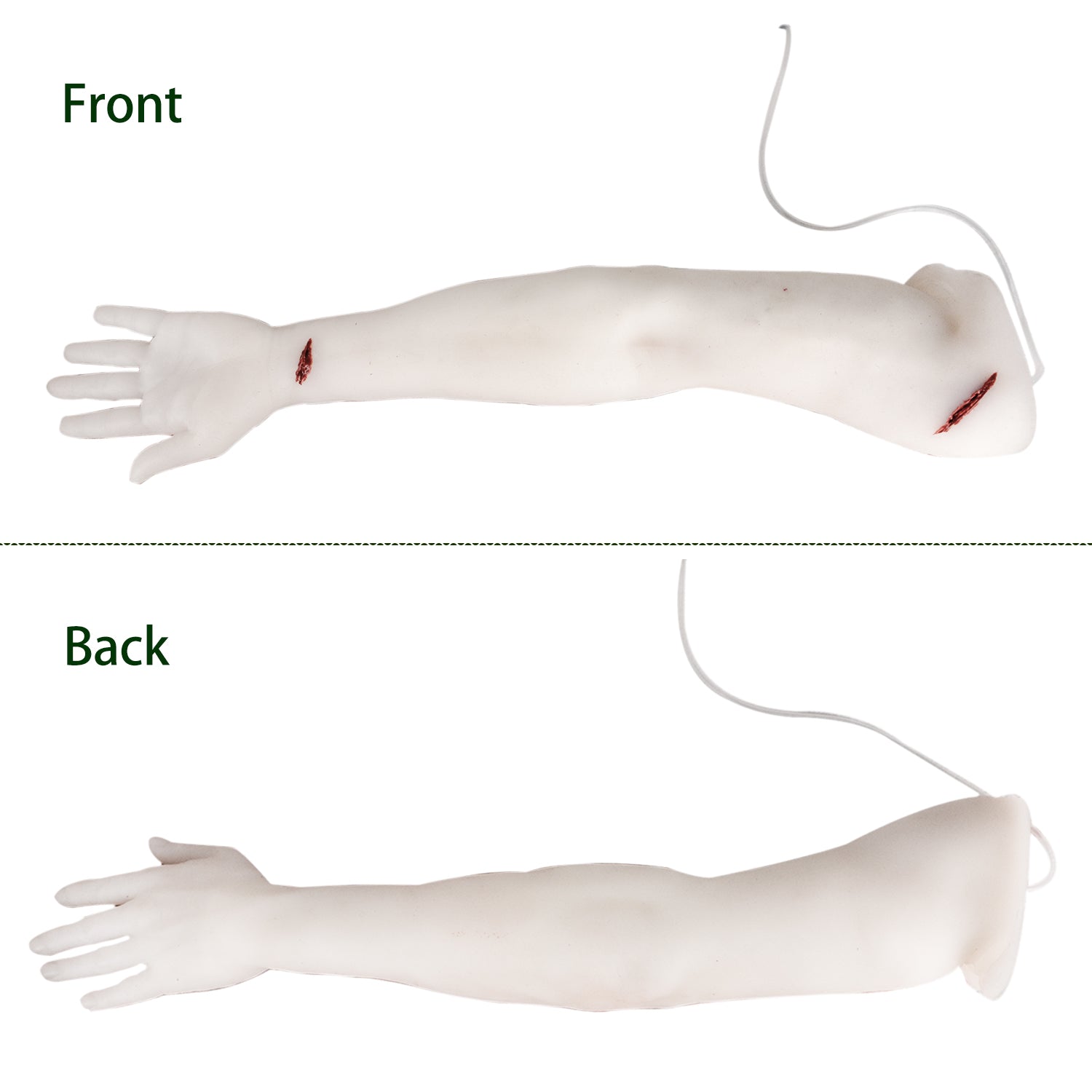 The Front and Back View of Trauma Hand Simulator
