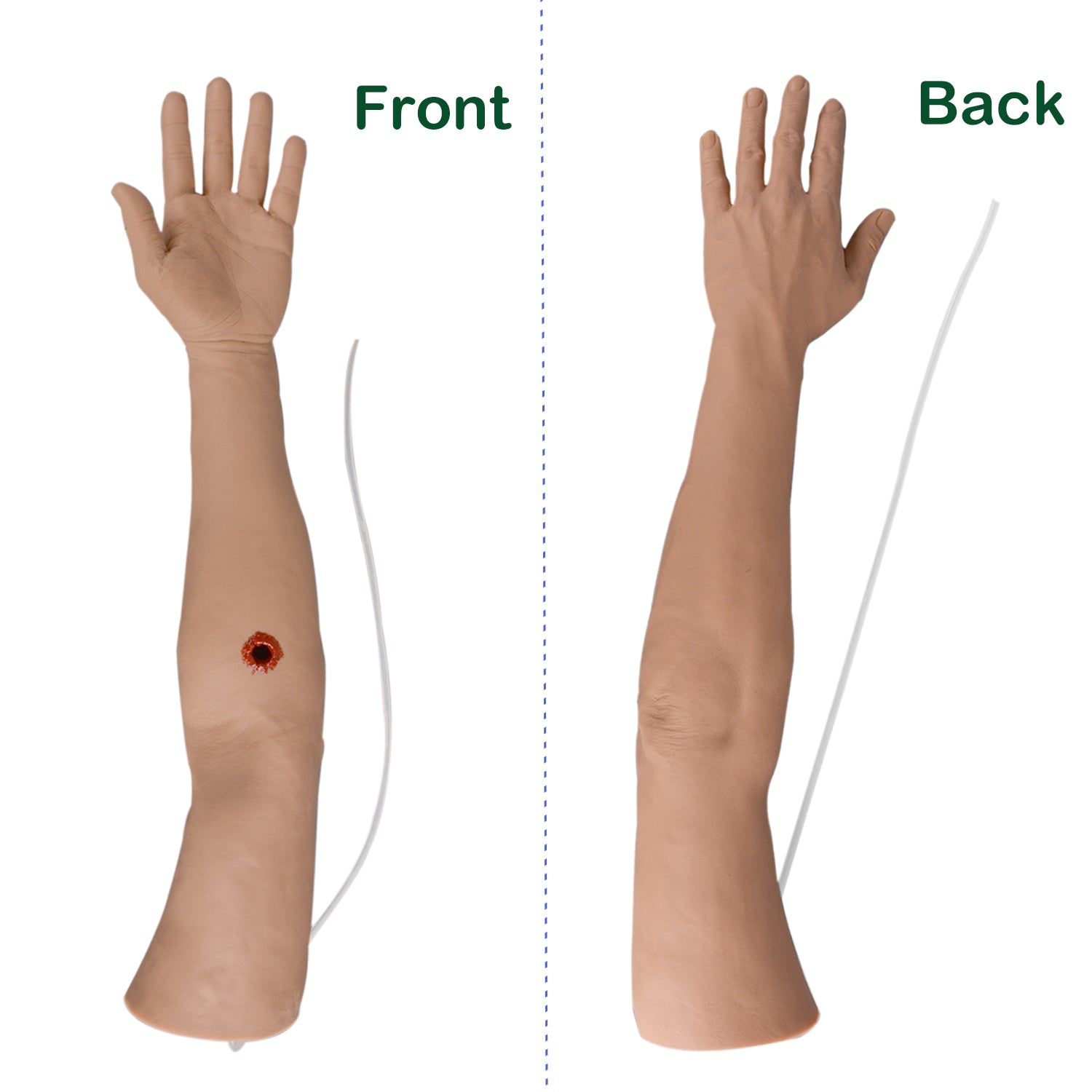 The Front and Back of Tourniquet Task Arm Trainer